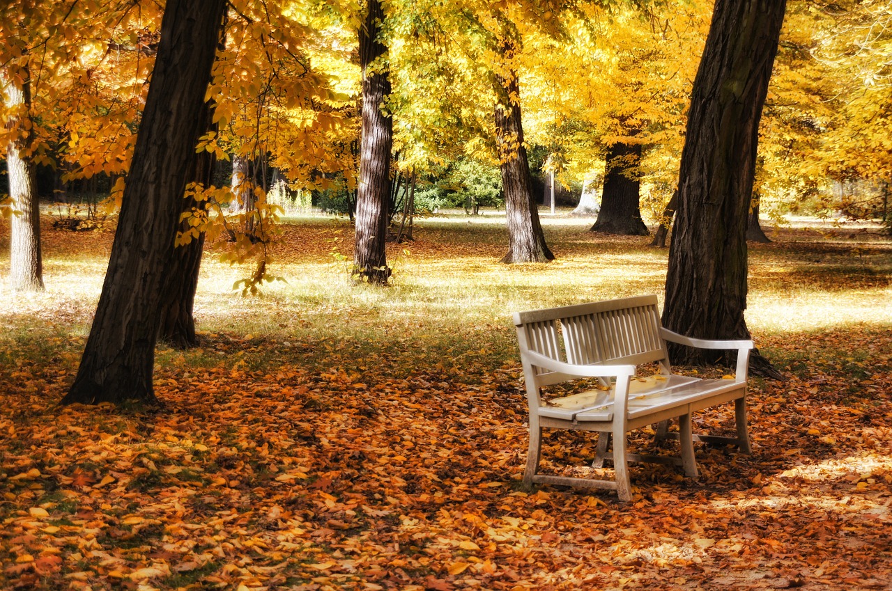 schlosspark charlottenburg castle park berlin free photo