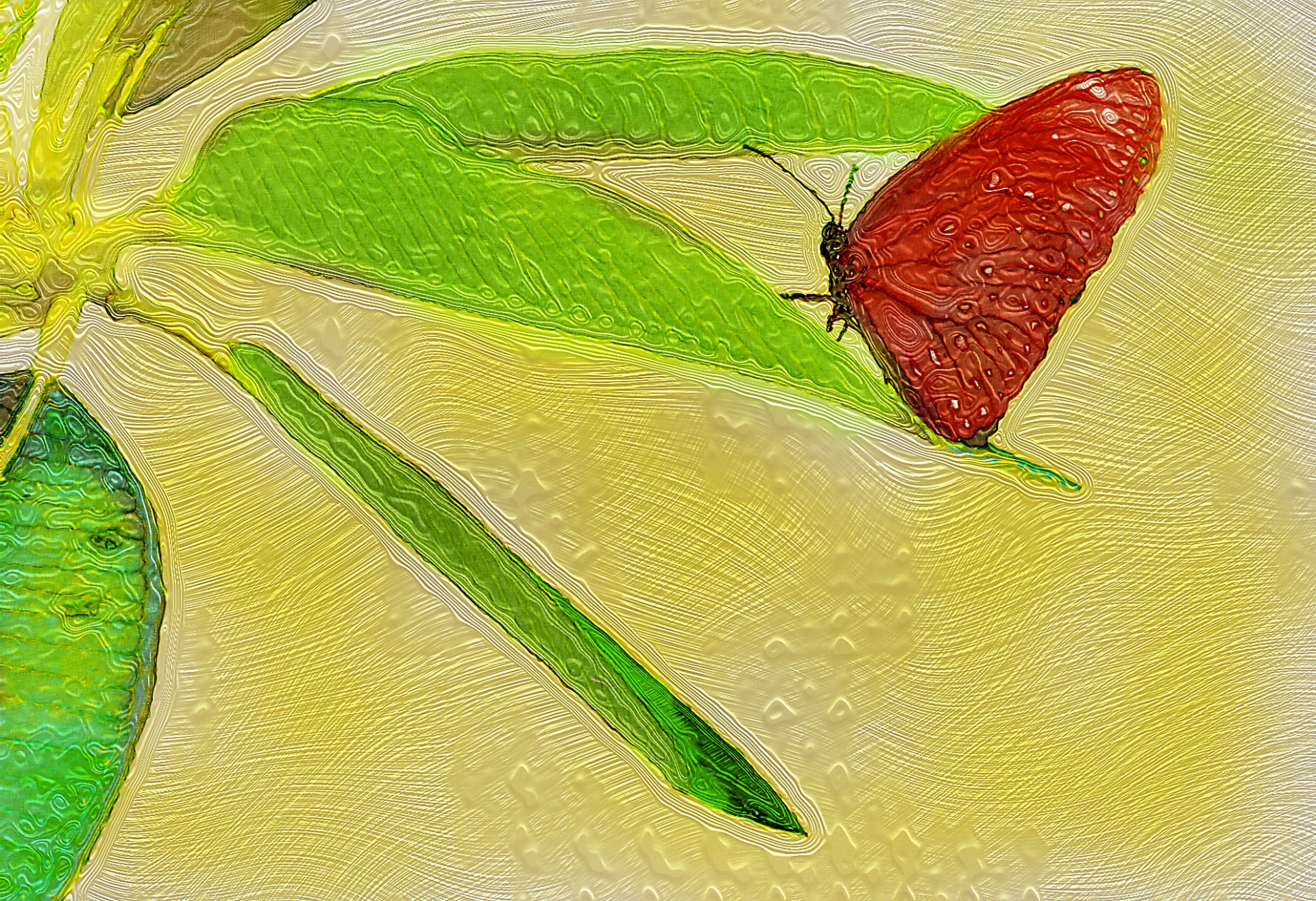 butterfly oil paint painting free photo