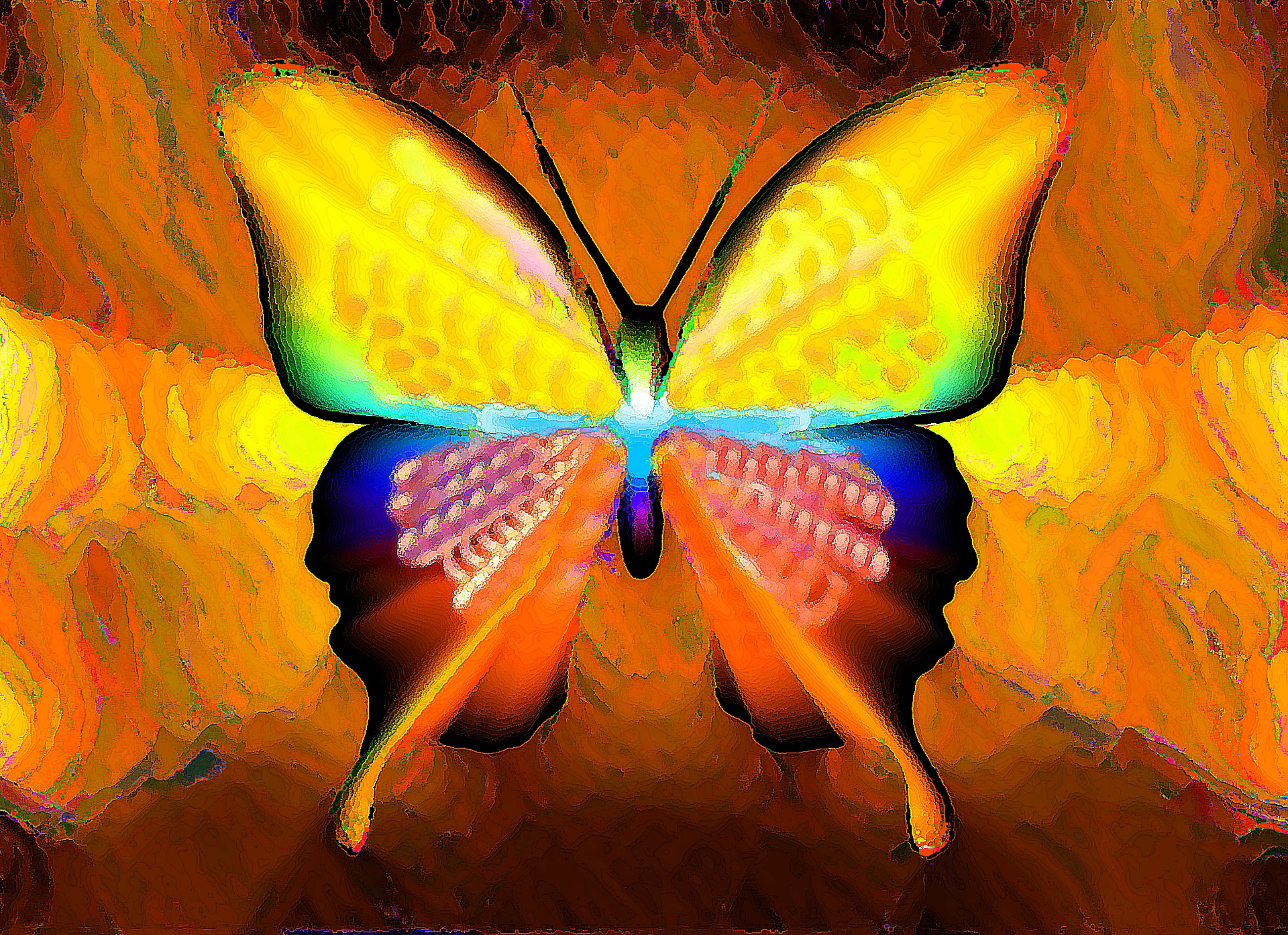 background sauermaul butterfly 2 free photo