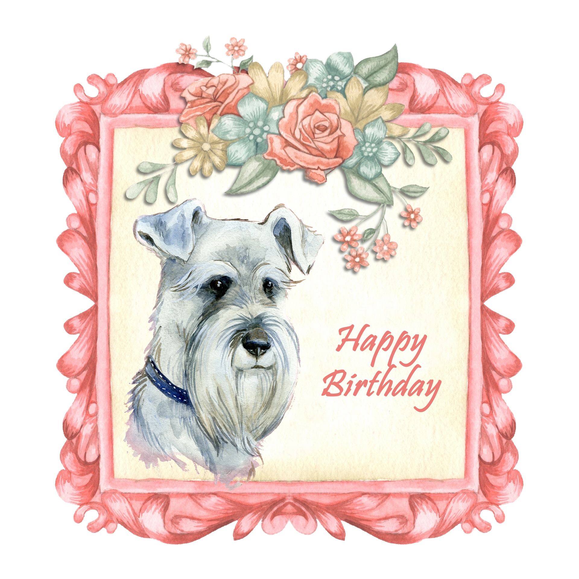 schnauzer dog card free photo