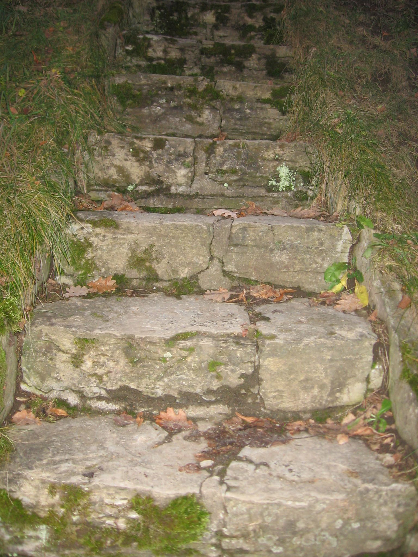 stairs stone stairs free photo