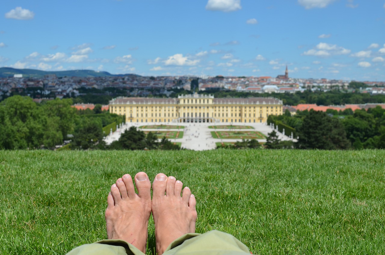 schönbrunn holiday relax free photo