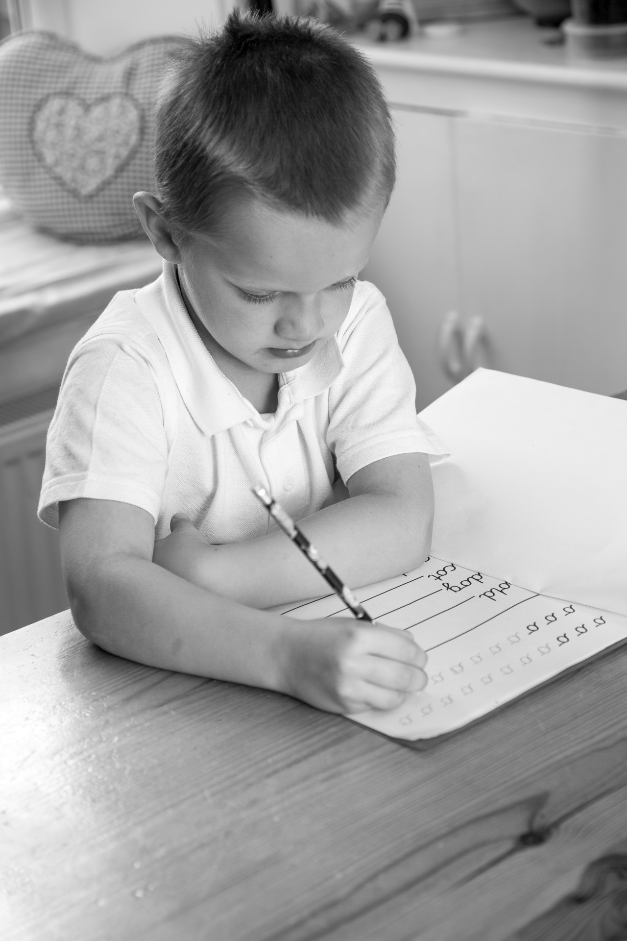 child homework kid free photo