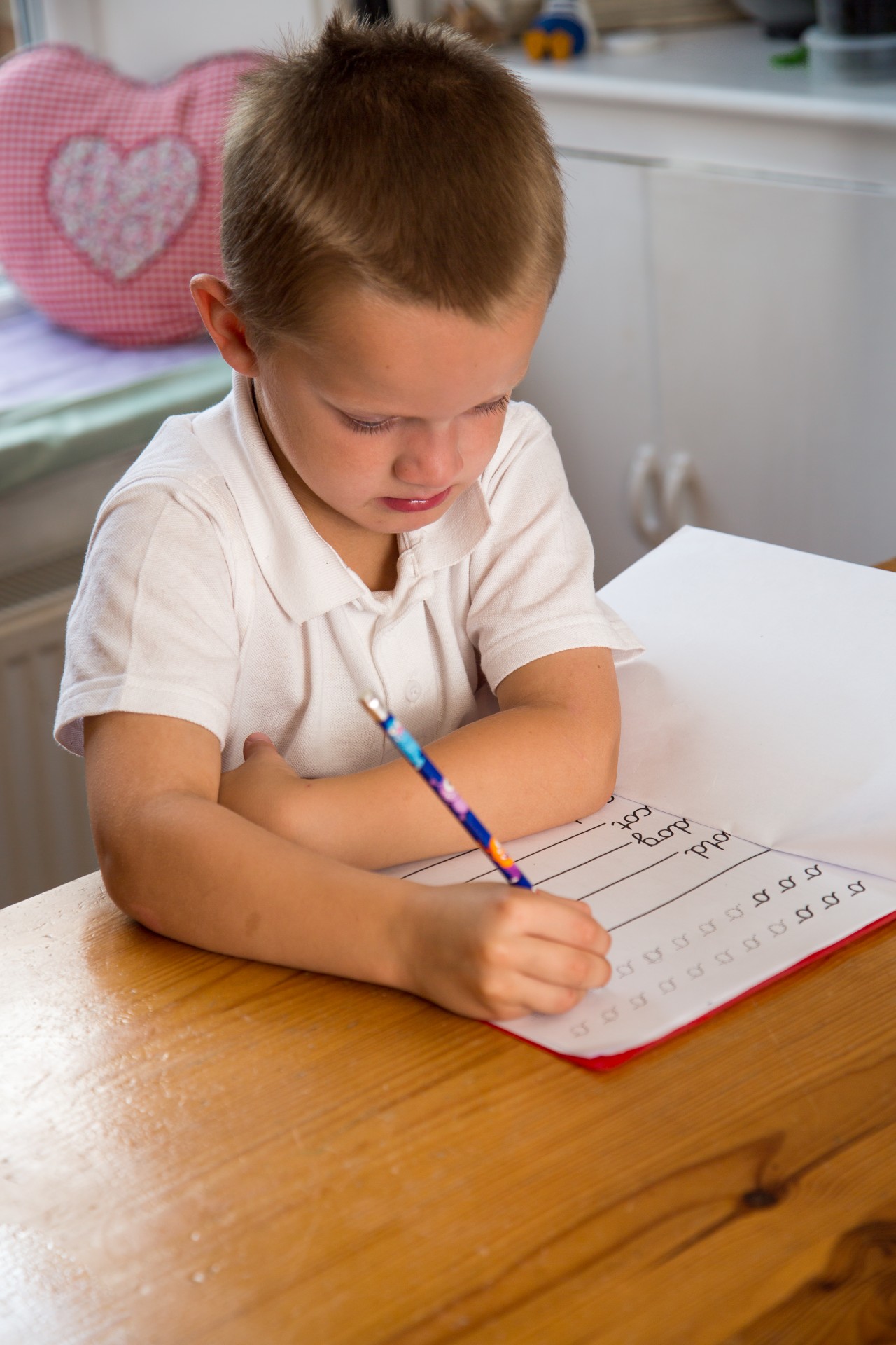 child homework kid free photo