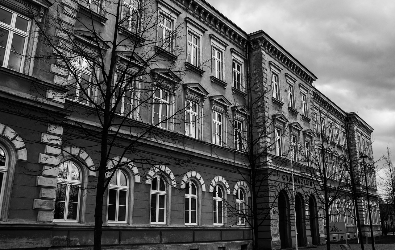 school black and white trees free photo