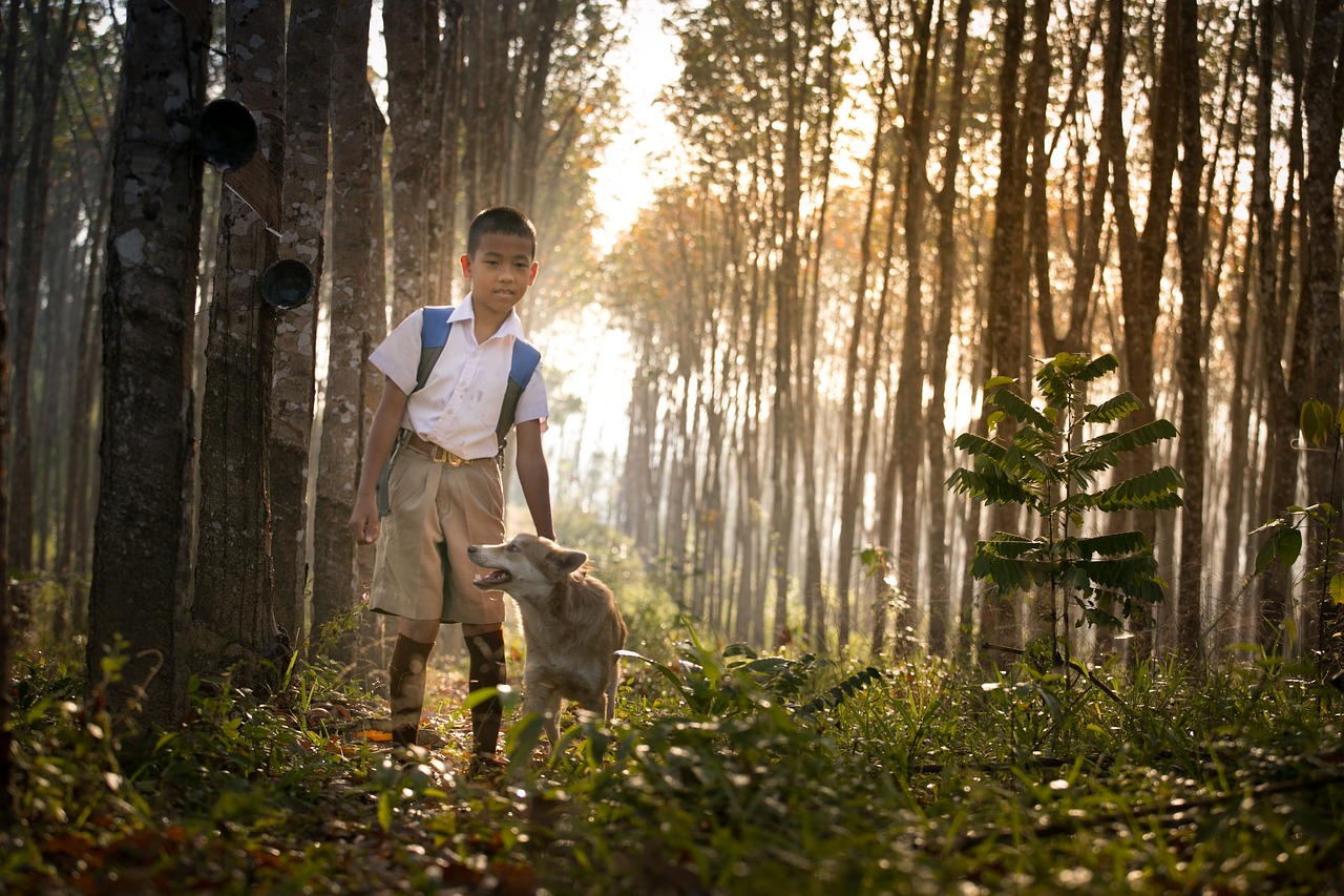 school student dog free photo