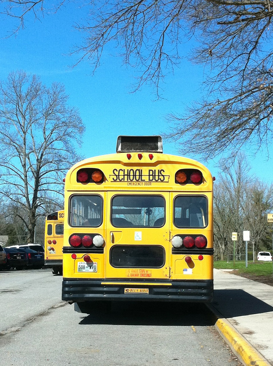 school school bus bus free photo