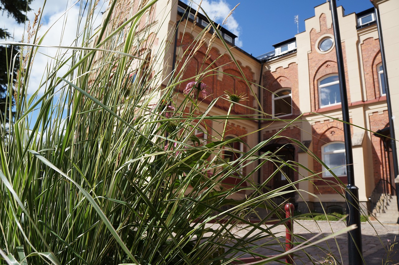 school spring grass free photo