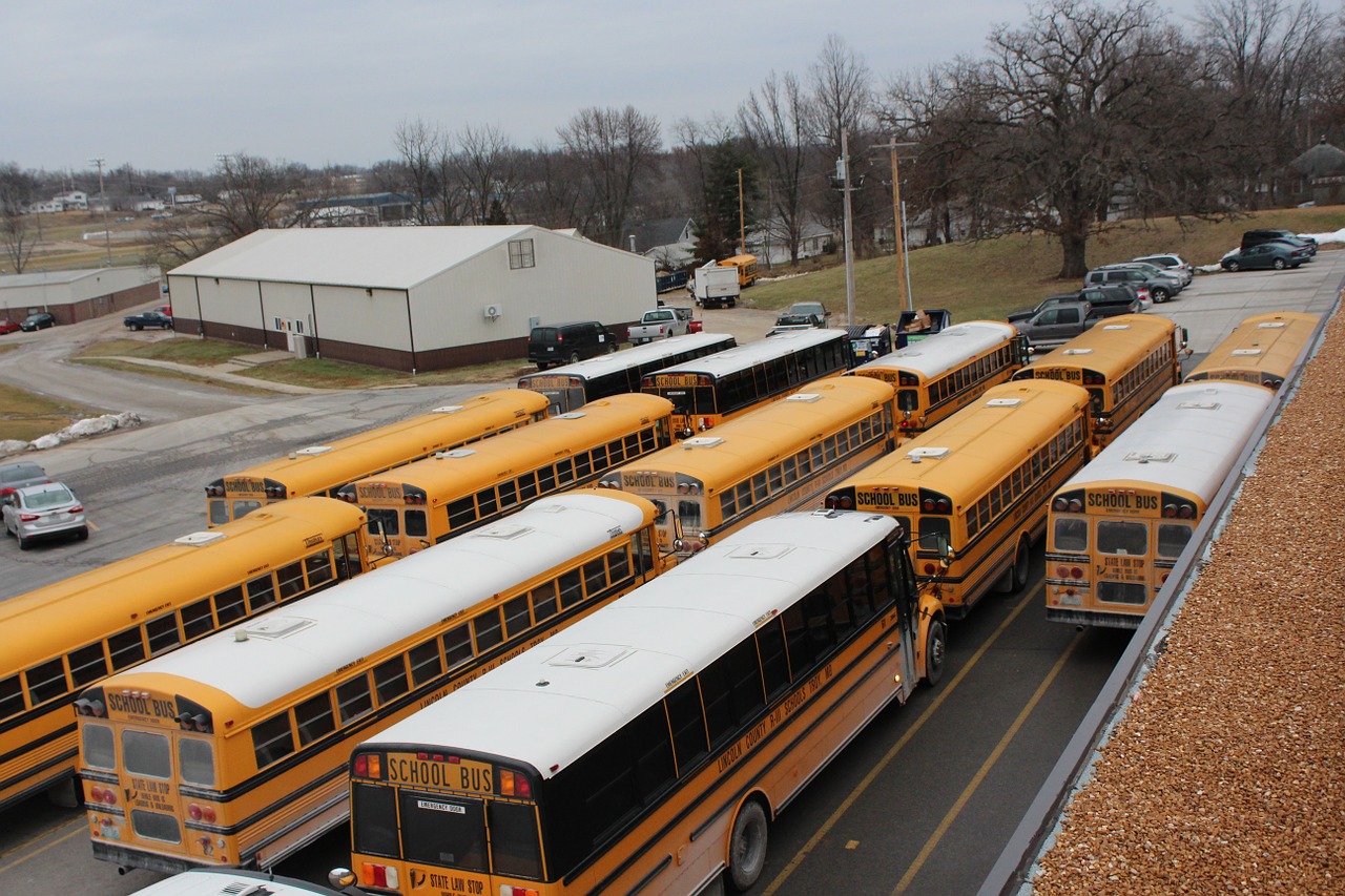 school bus school bus free photo