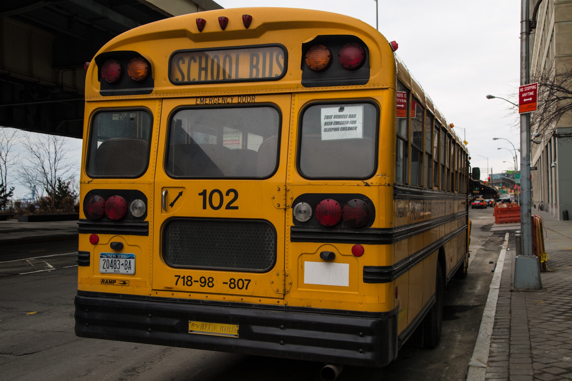 bus school yellow free photo