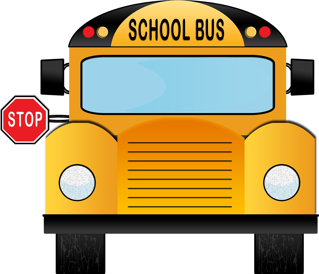 school bus bus school free photo