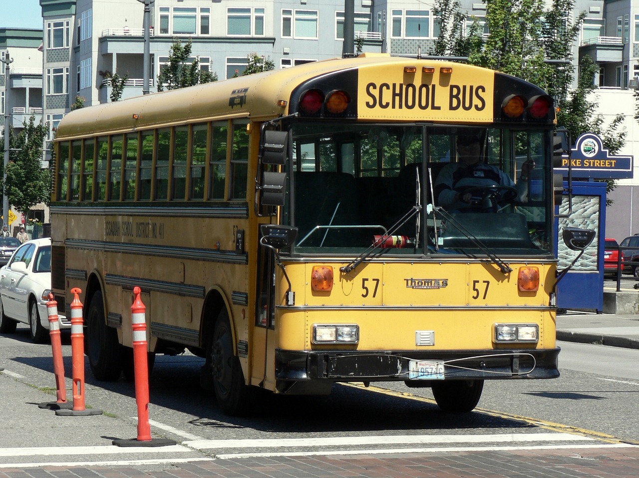 school bus street city free photo