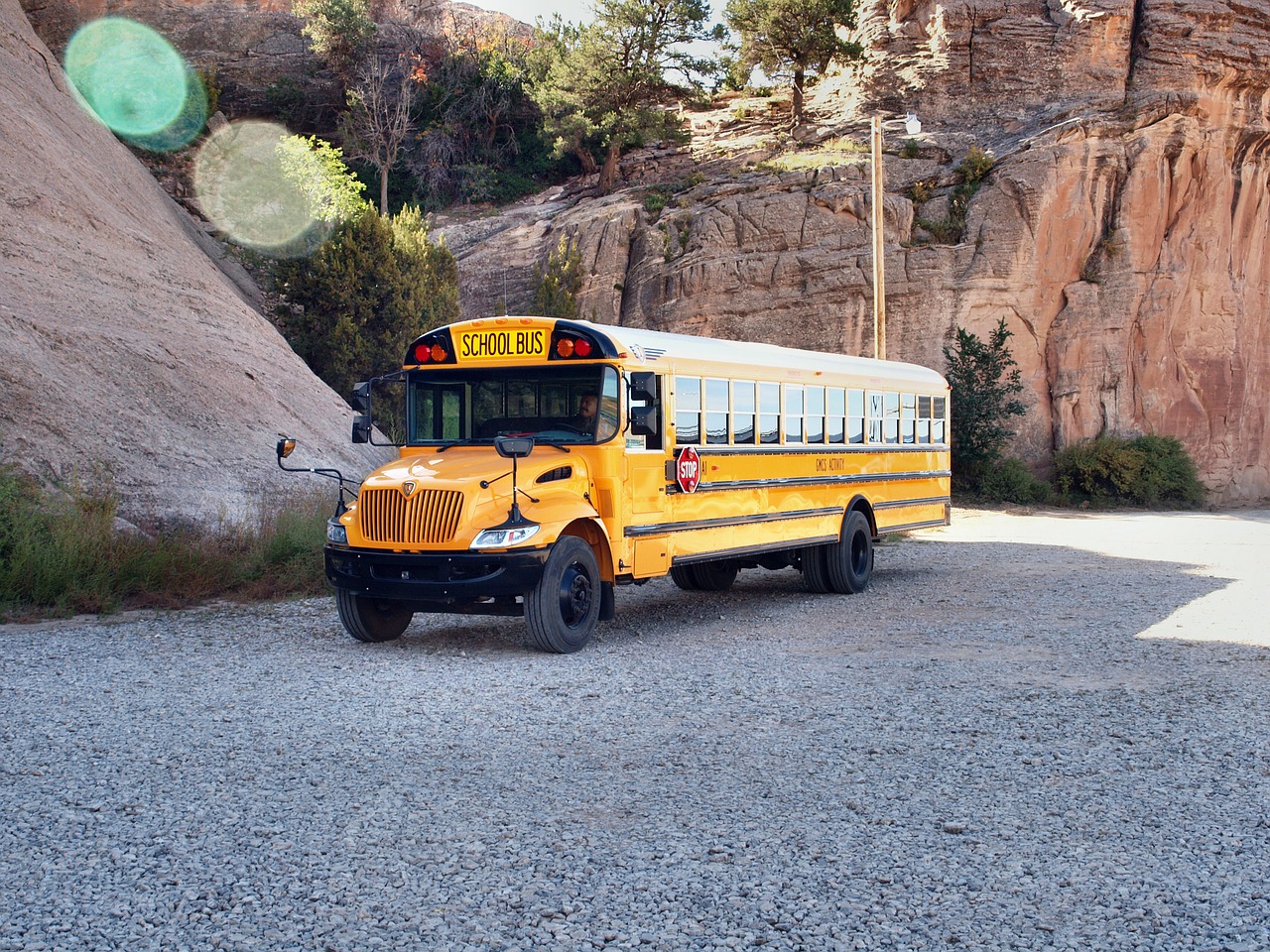 school bus usa america free photo