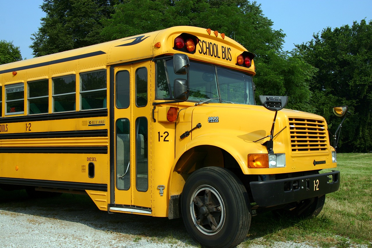 school bus bus vehicle free photo