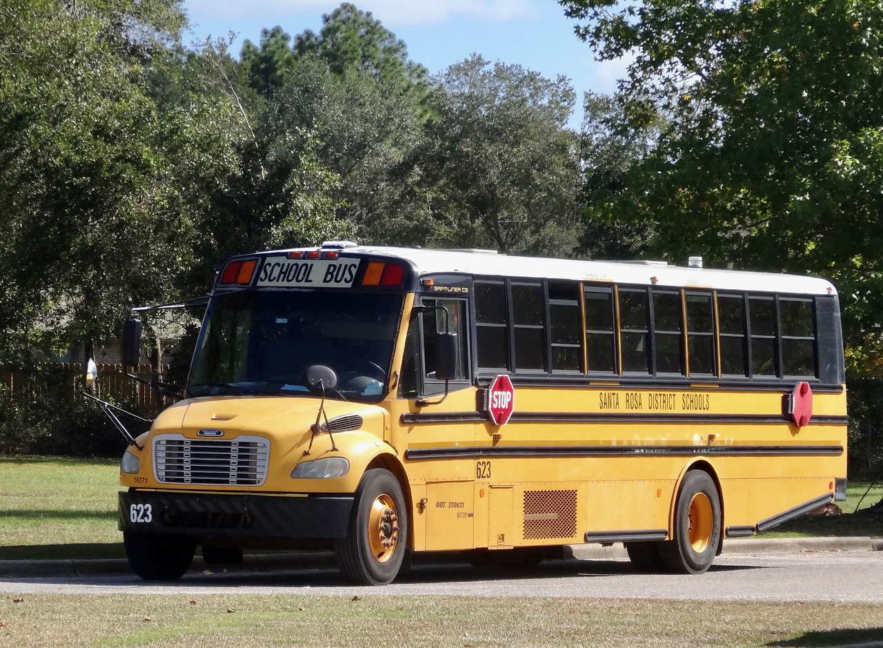 school bus yellow education free photo