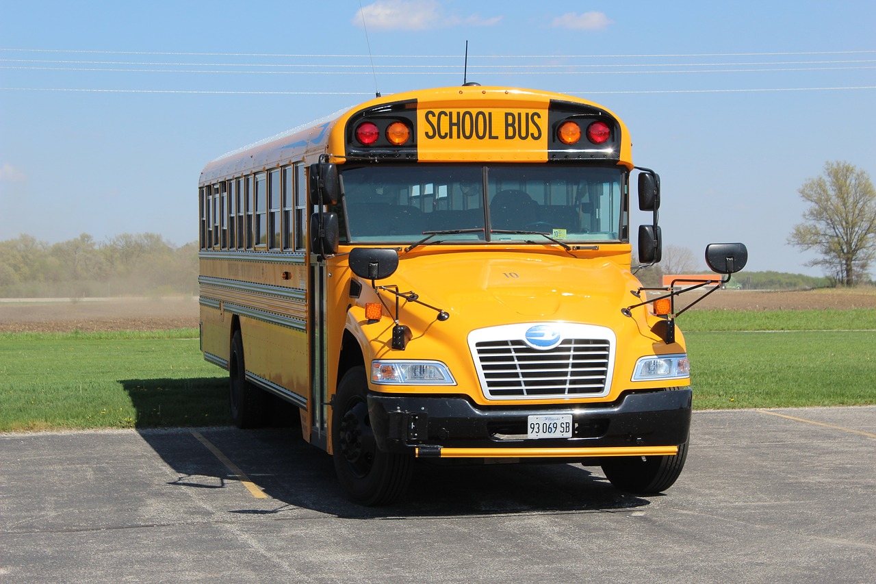 school bus  bus  usa free photo