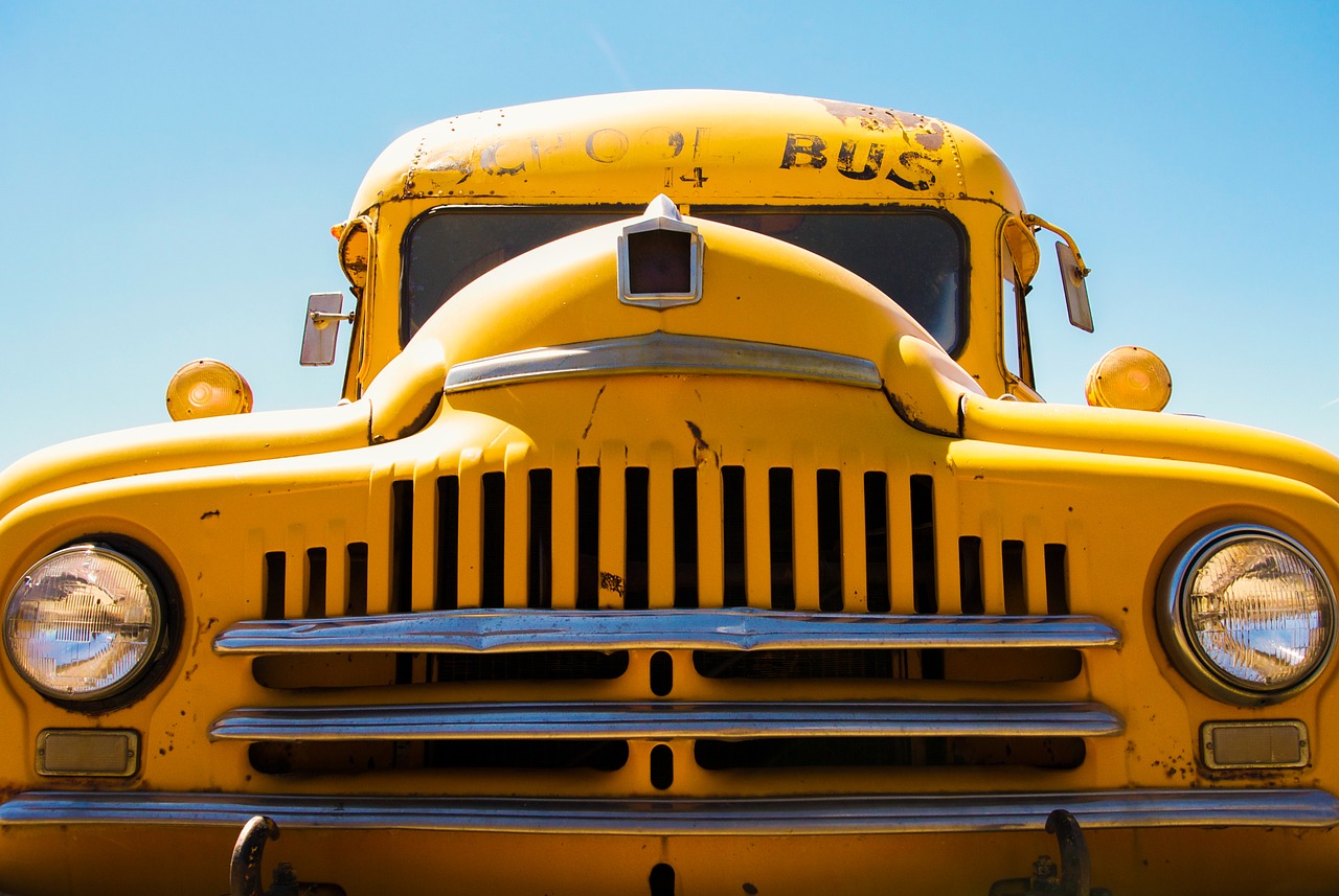 school bus  yellow  transport free photo