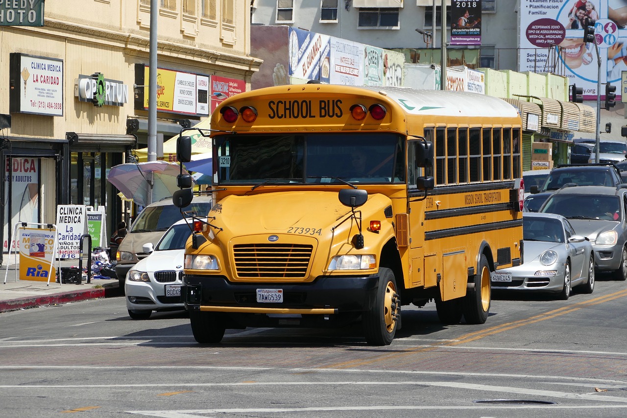 school-bus  street  usa free photo