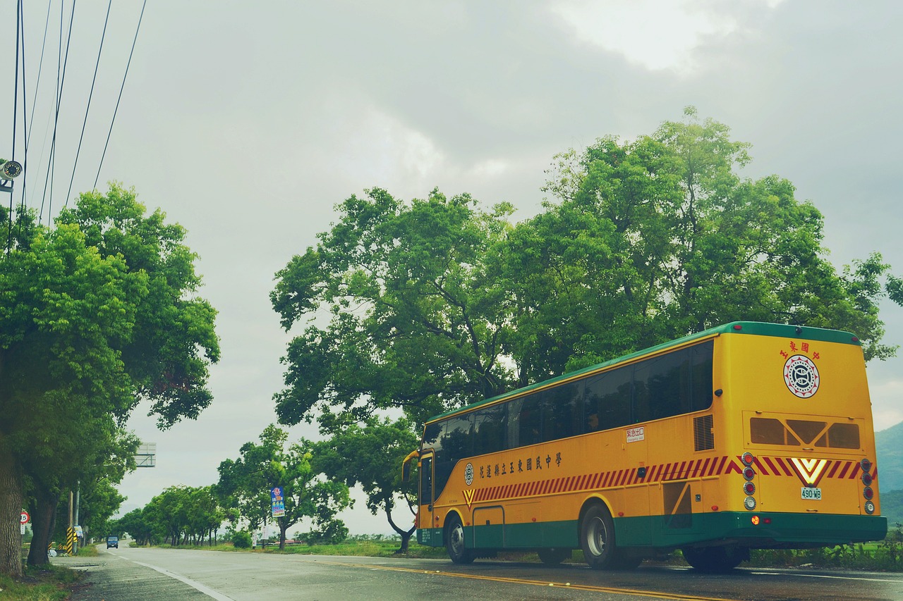 school bus highway cloudy day free photo