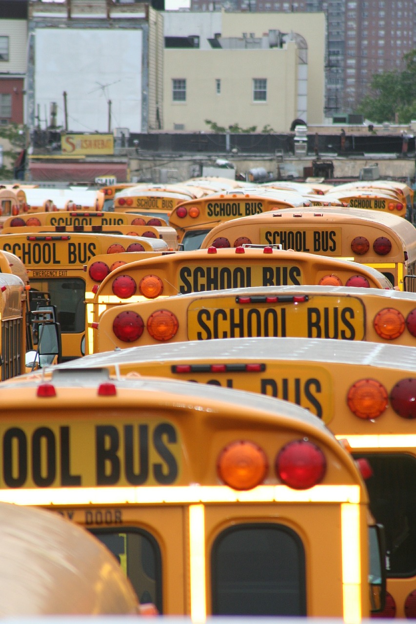 school bus america vehicles free photo