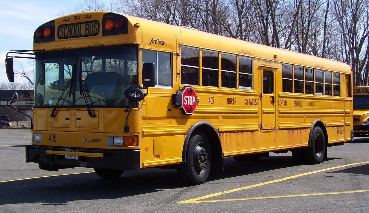 school bus america transportation free photo