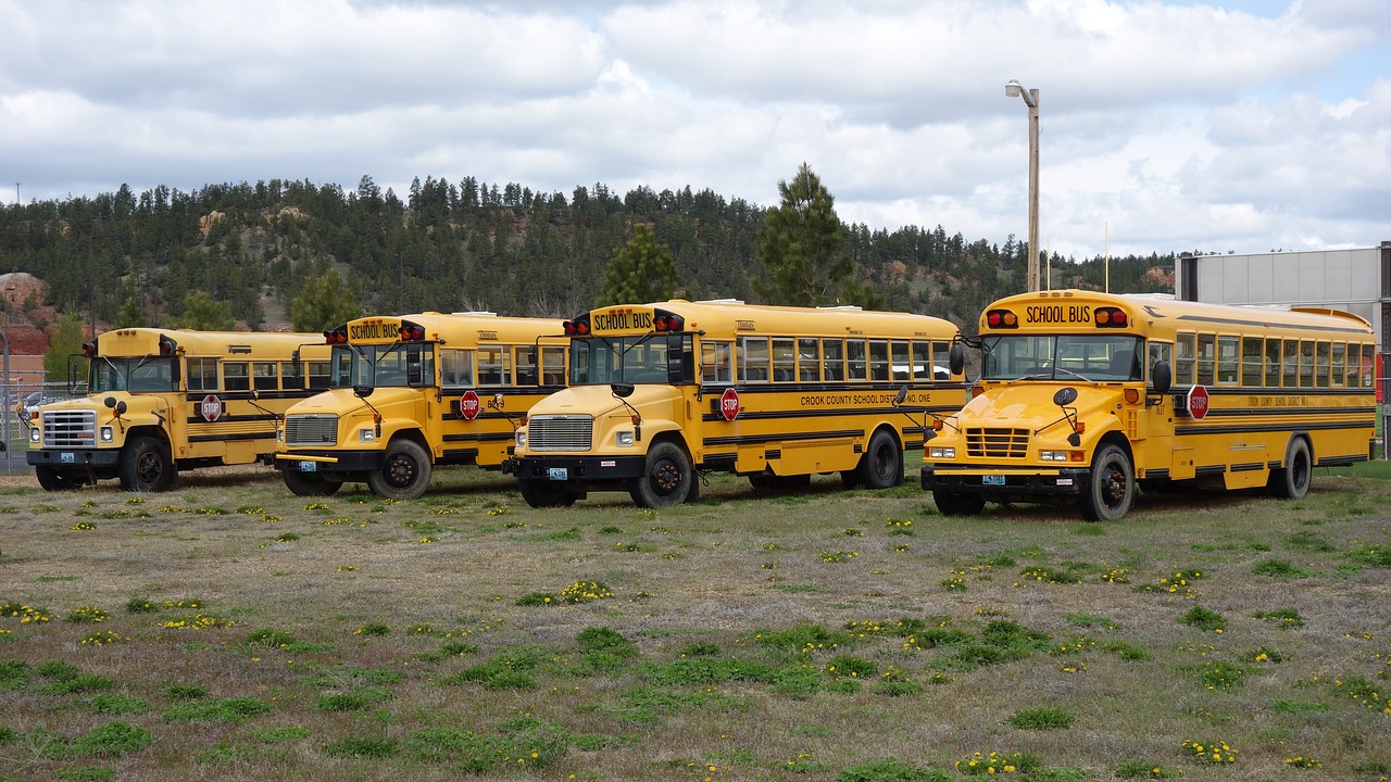 schoolbus yellow transport free photo