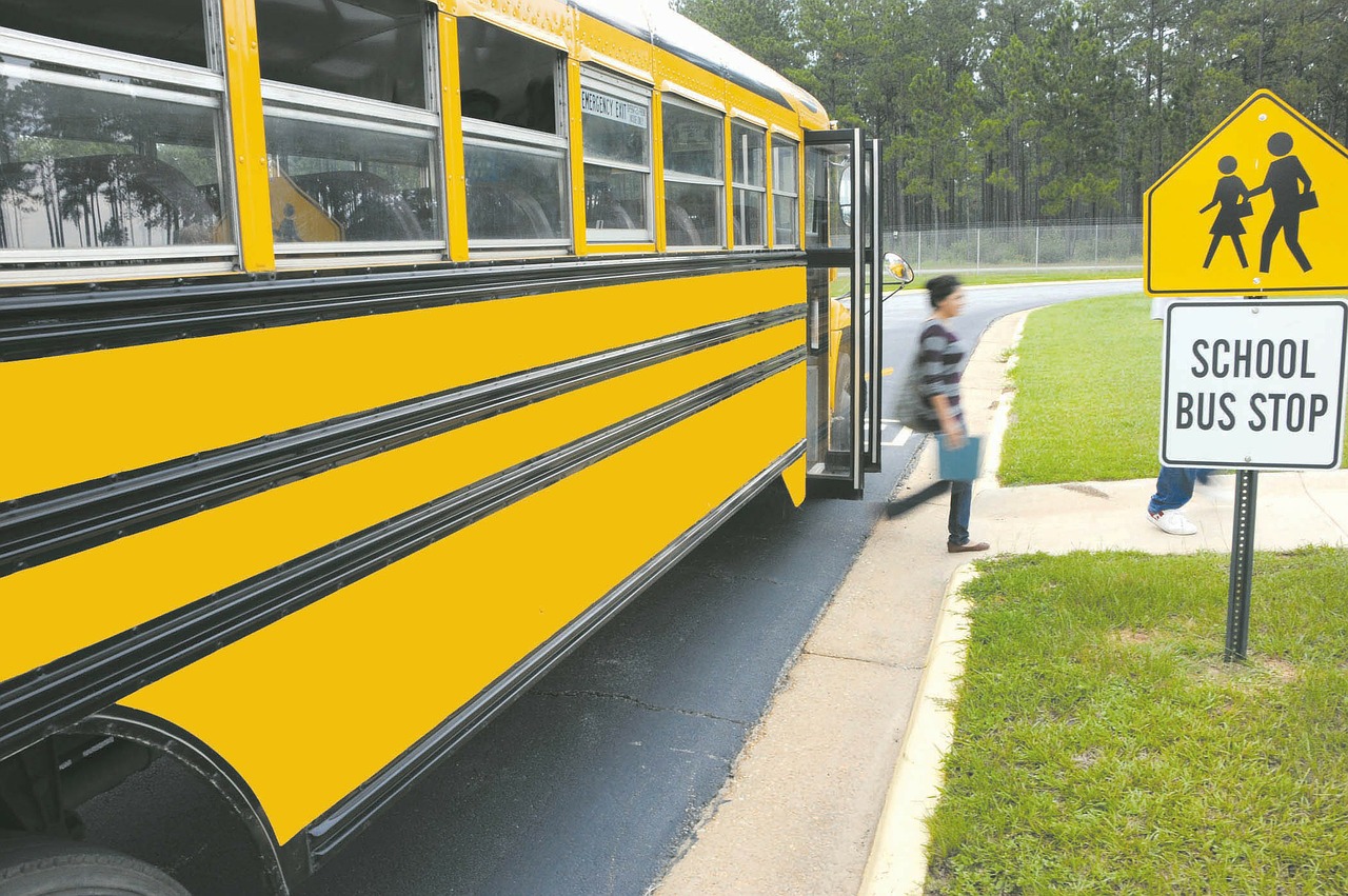 schoolbus vehicle bus free photo