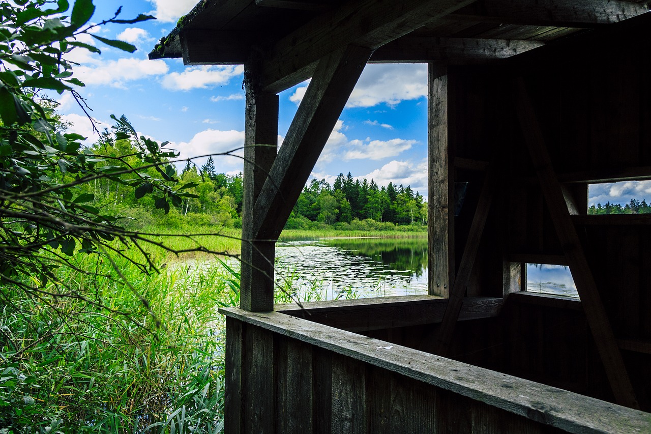 schreckensee pond nature reserve free photo