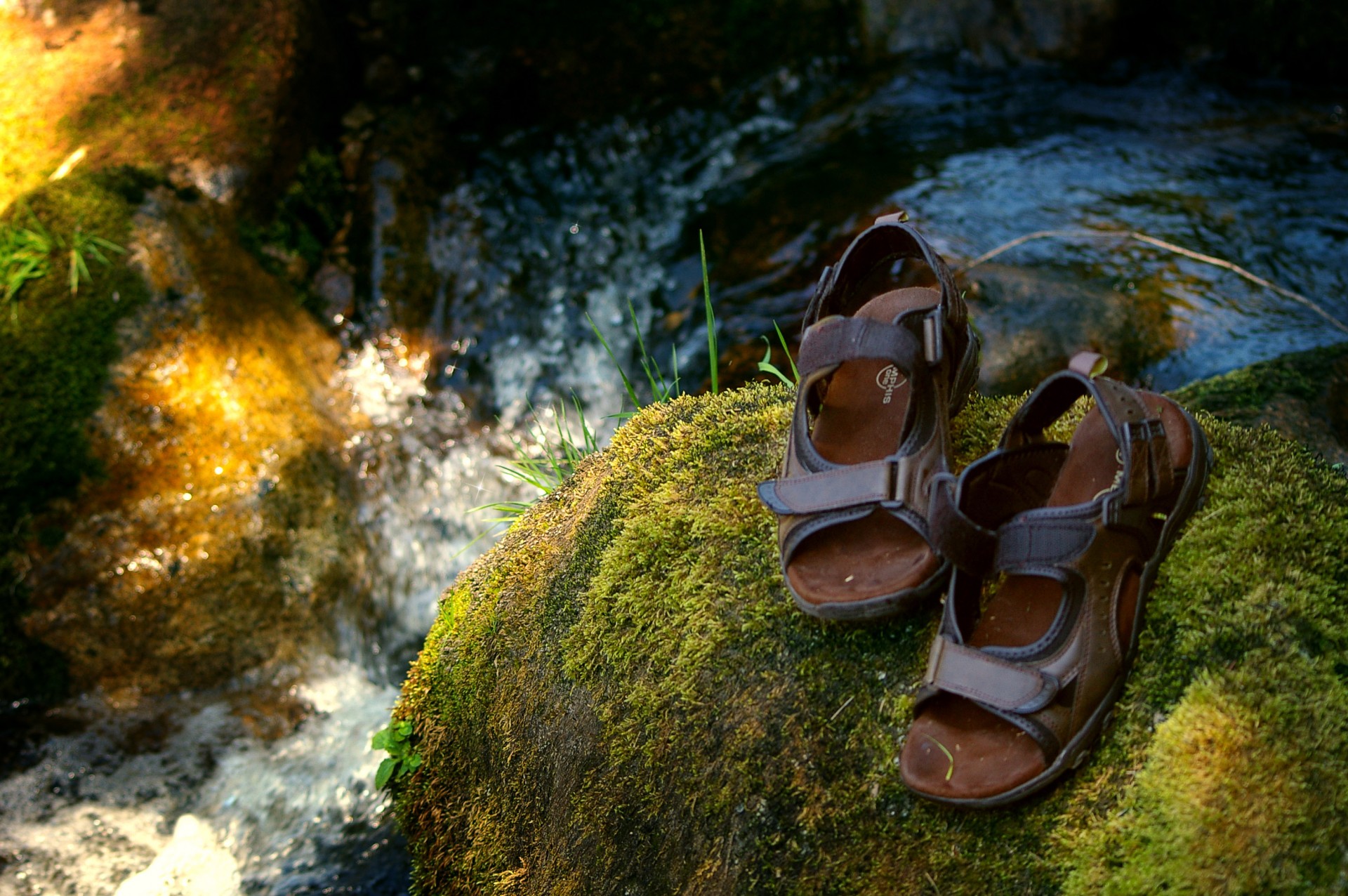 sandals shoes water free photo