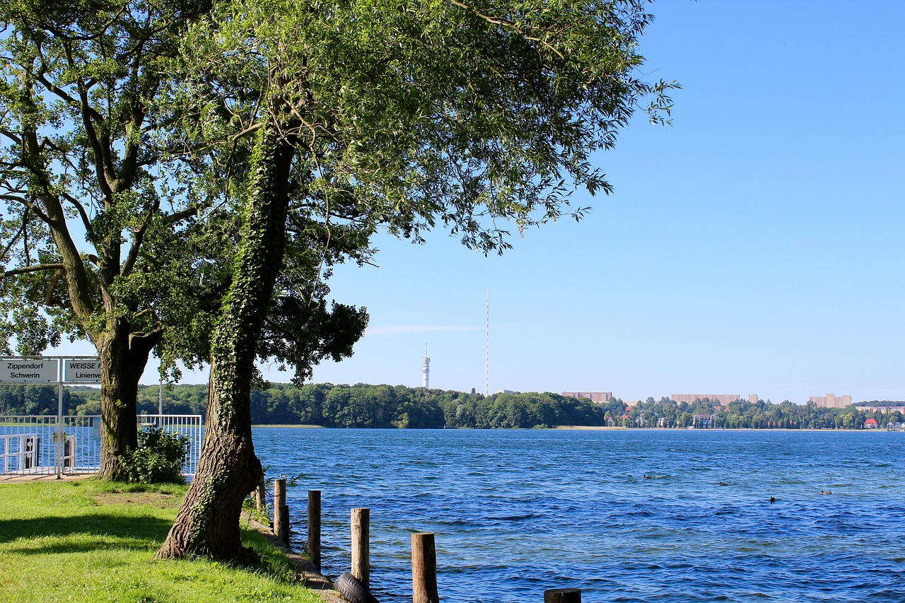 schwerin  rabbit werder  investors free photo