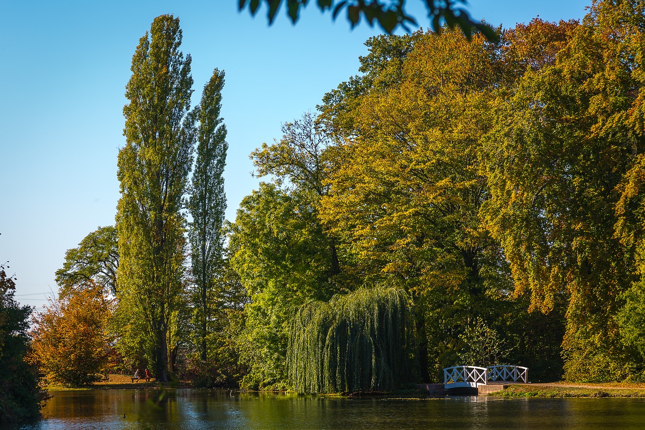 schwetzingen  schlossgarten  castle park free photo