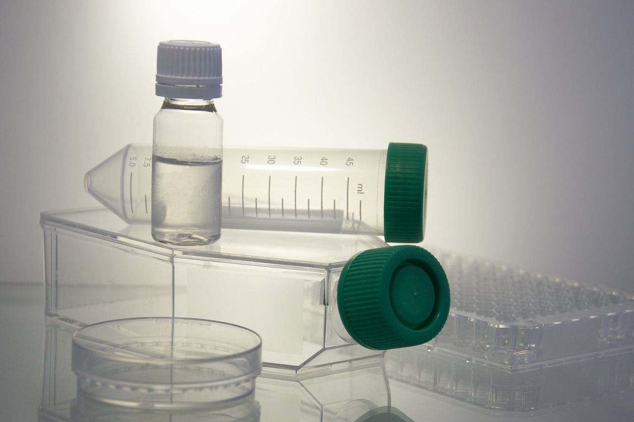science  petri dish  test-tube free photo