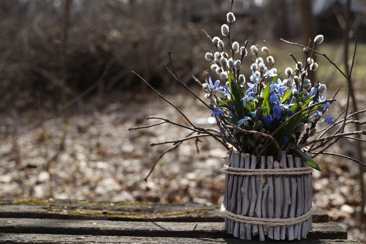 scilla  bouquet  blue free photo