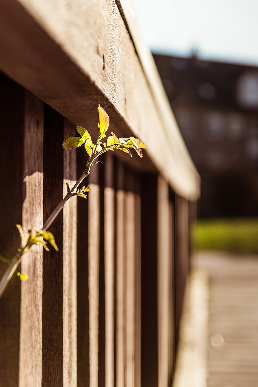 scion railing grow free photo