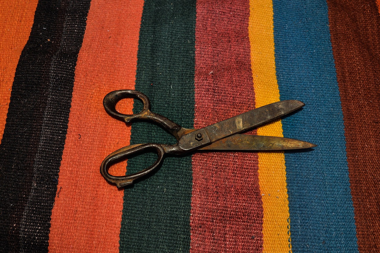 scissor rusty vintage free photo