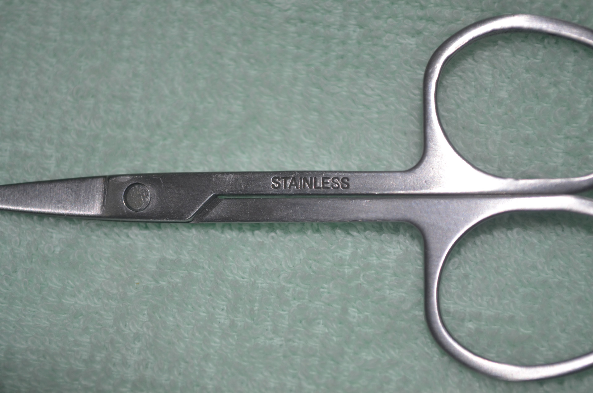 scissor scissors stainless free photo