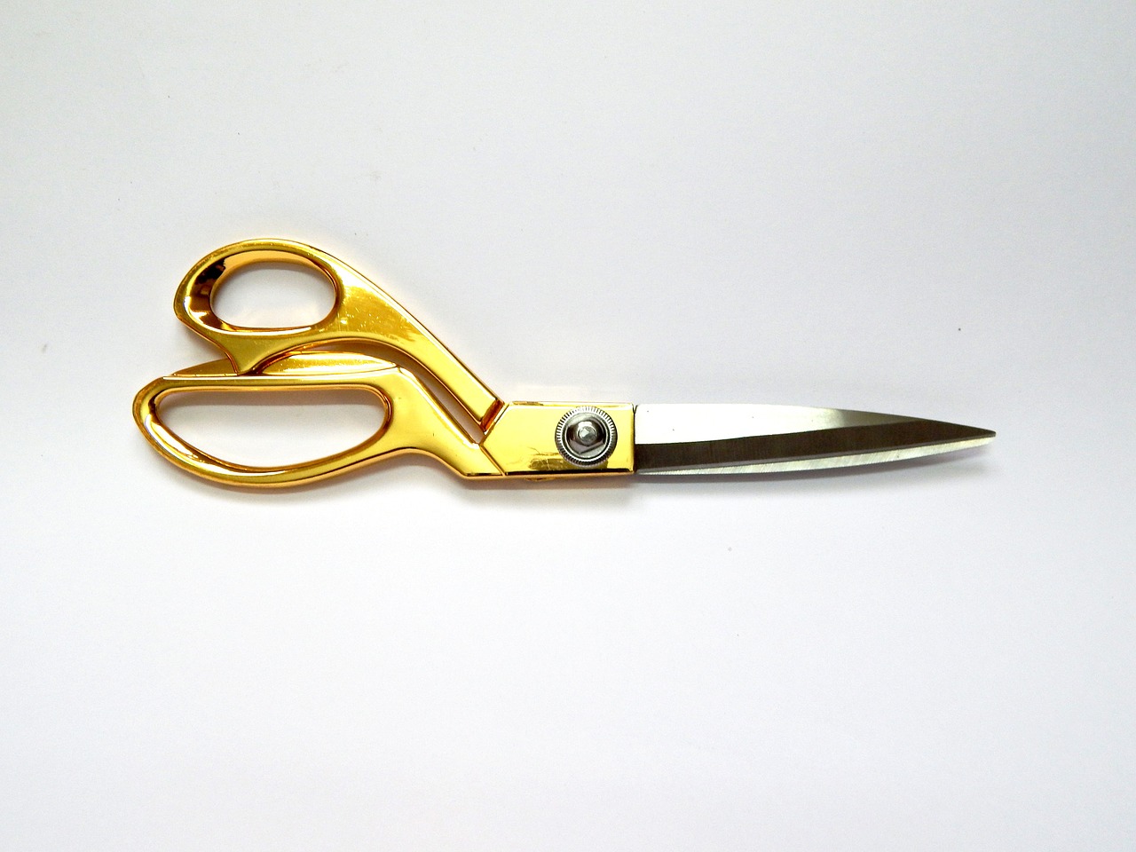 scissors tailor cut free photo