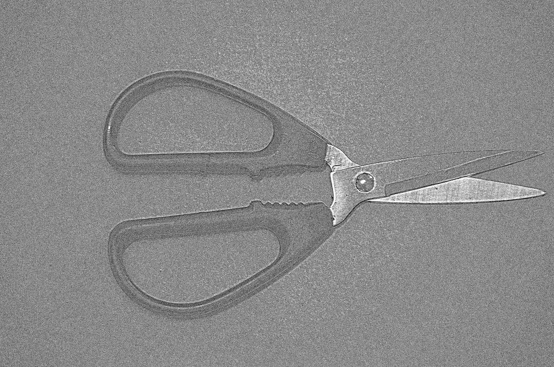 scissors tool cut free photo