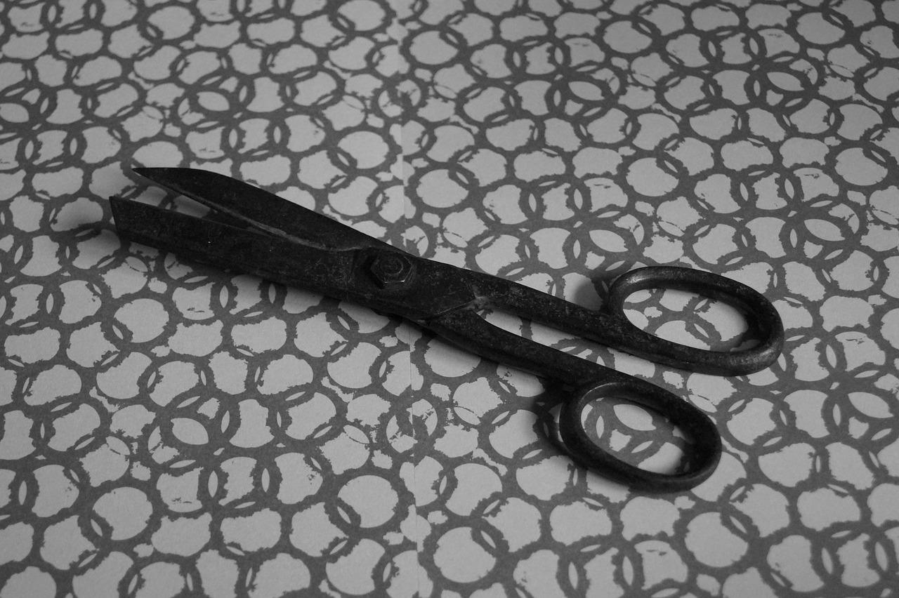scissors cut old free photo