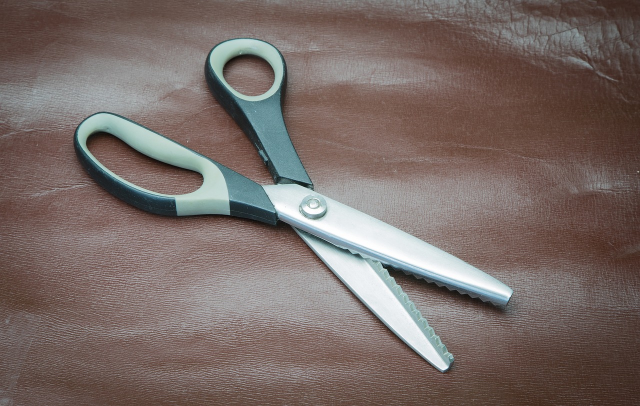 scissors leather schneider free photo