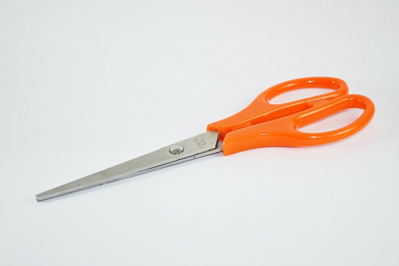 scissors textile clothing free photo