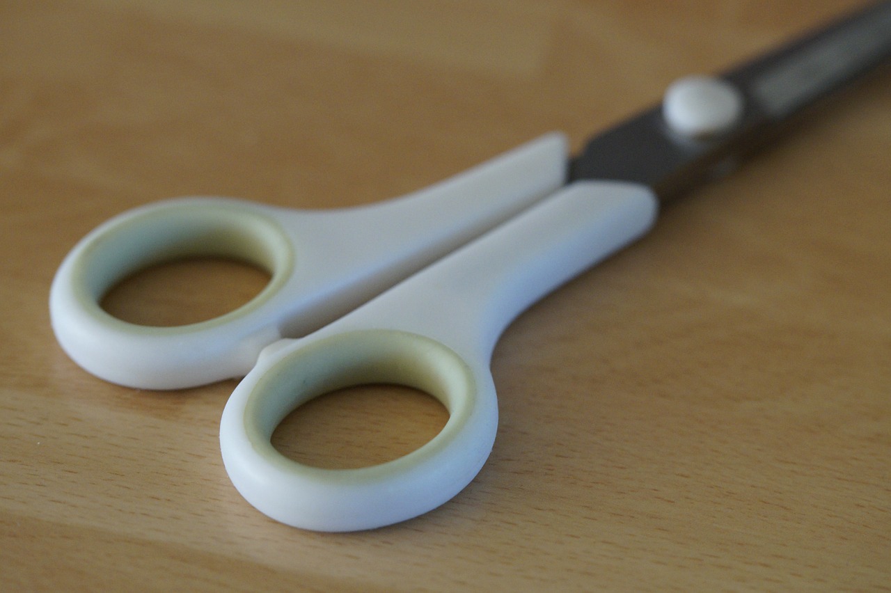 scissors handle kitchen scissors free photo