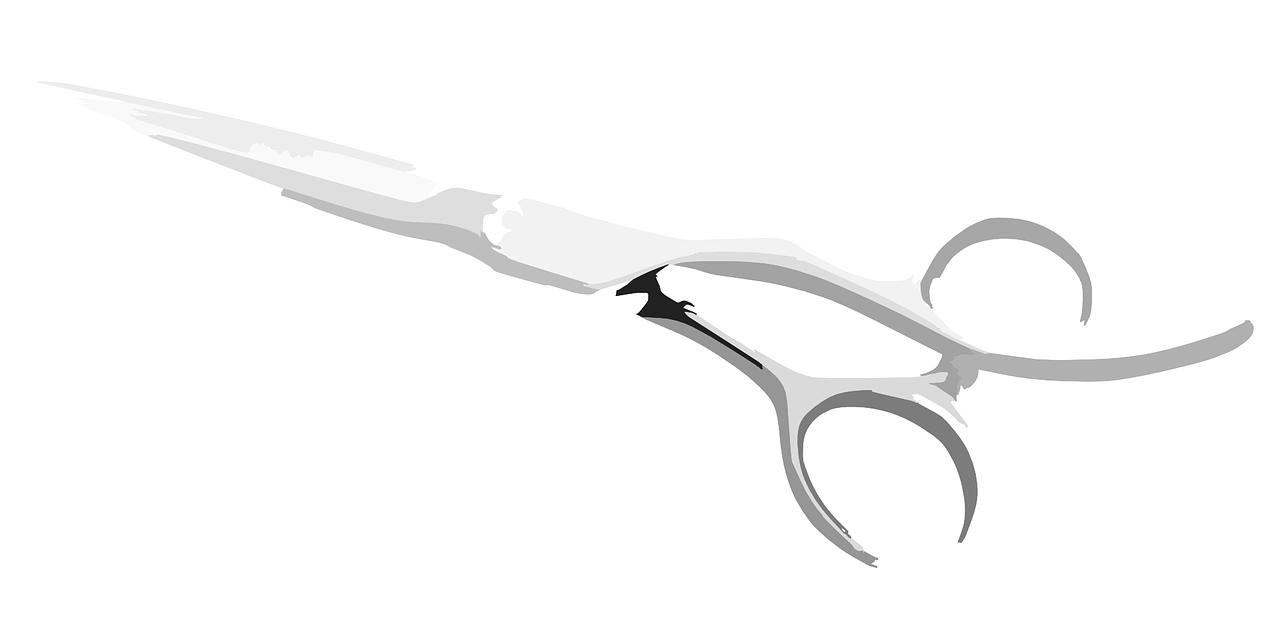 scissors cut tool free photo