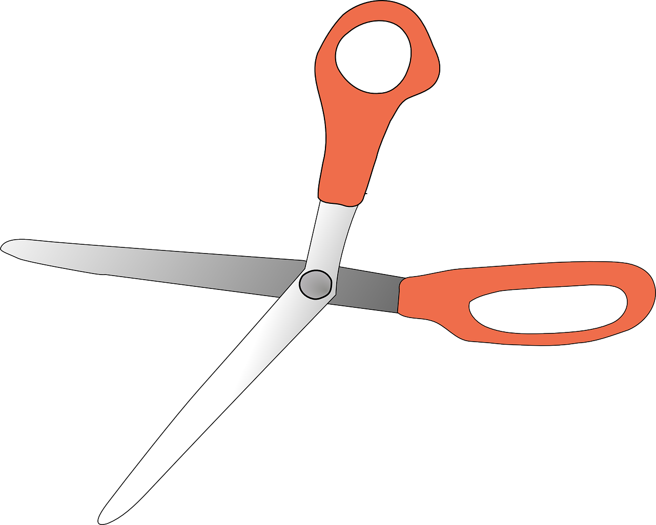 scissors shearing instruments free photo