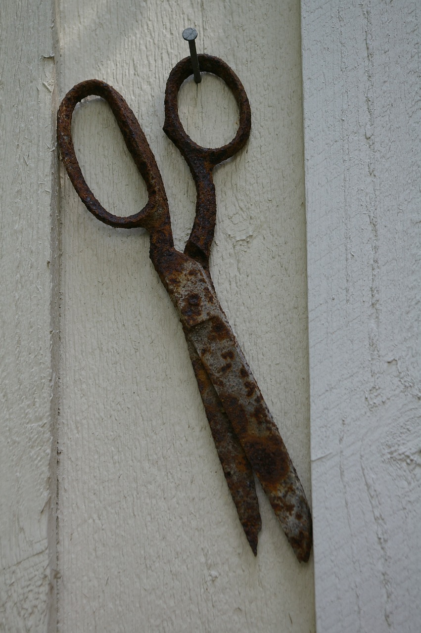 scissors rust rusted free photo