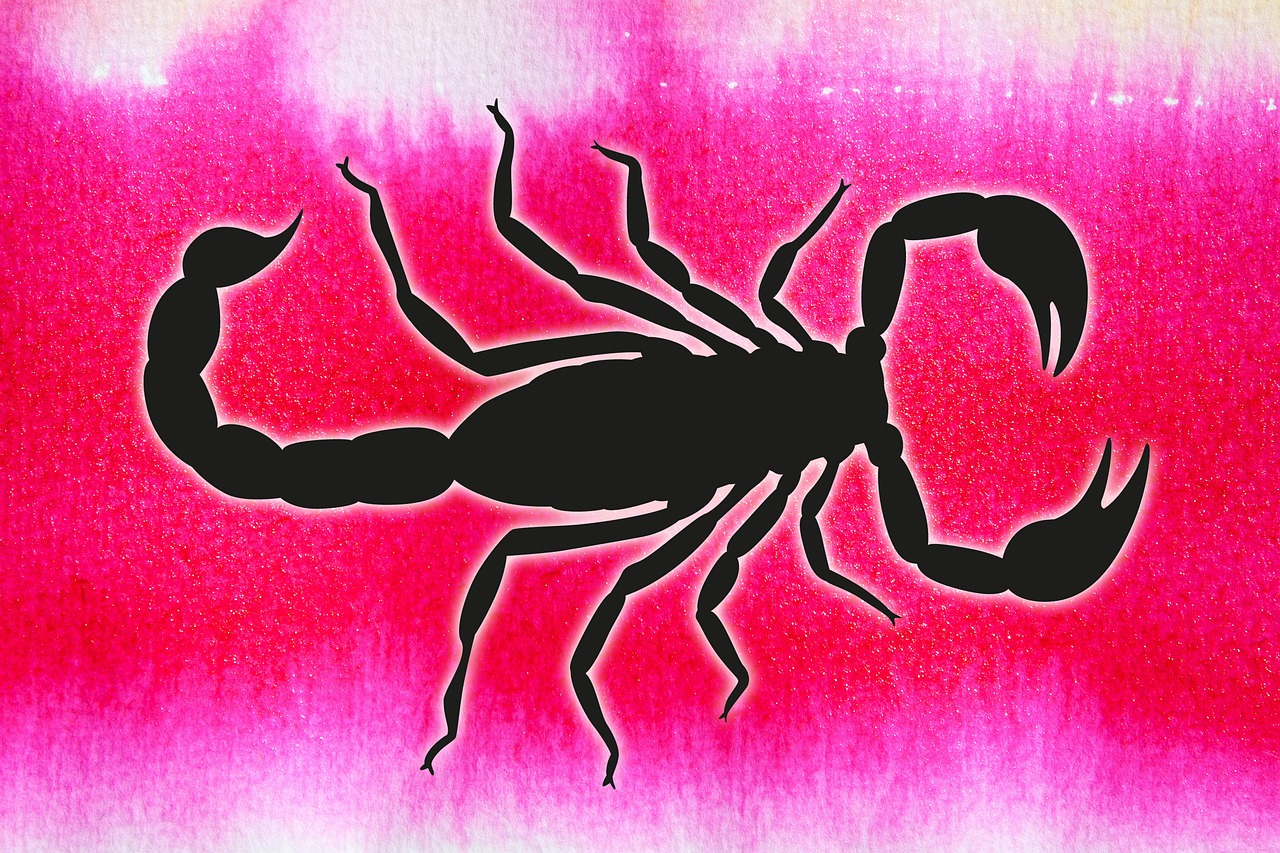 scorpio graphically arachnid free photo