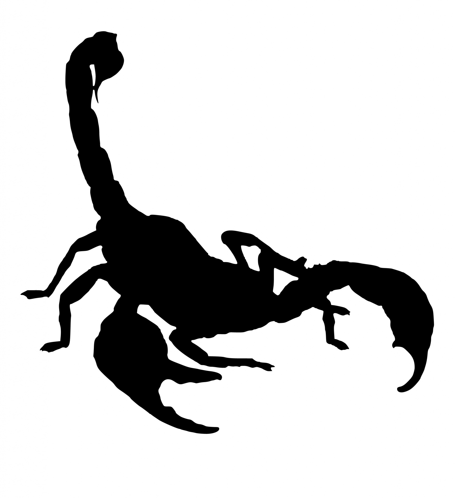 silhouette scorpion isolated free photo