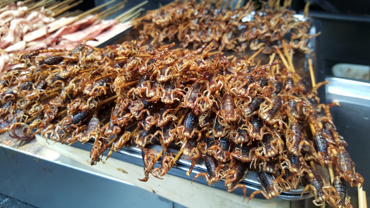 scorpions chinese food chinese cuisine free photo