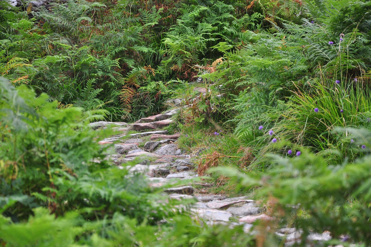 scotland hidden valley ballachulish mountains free photo