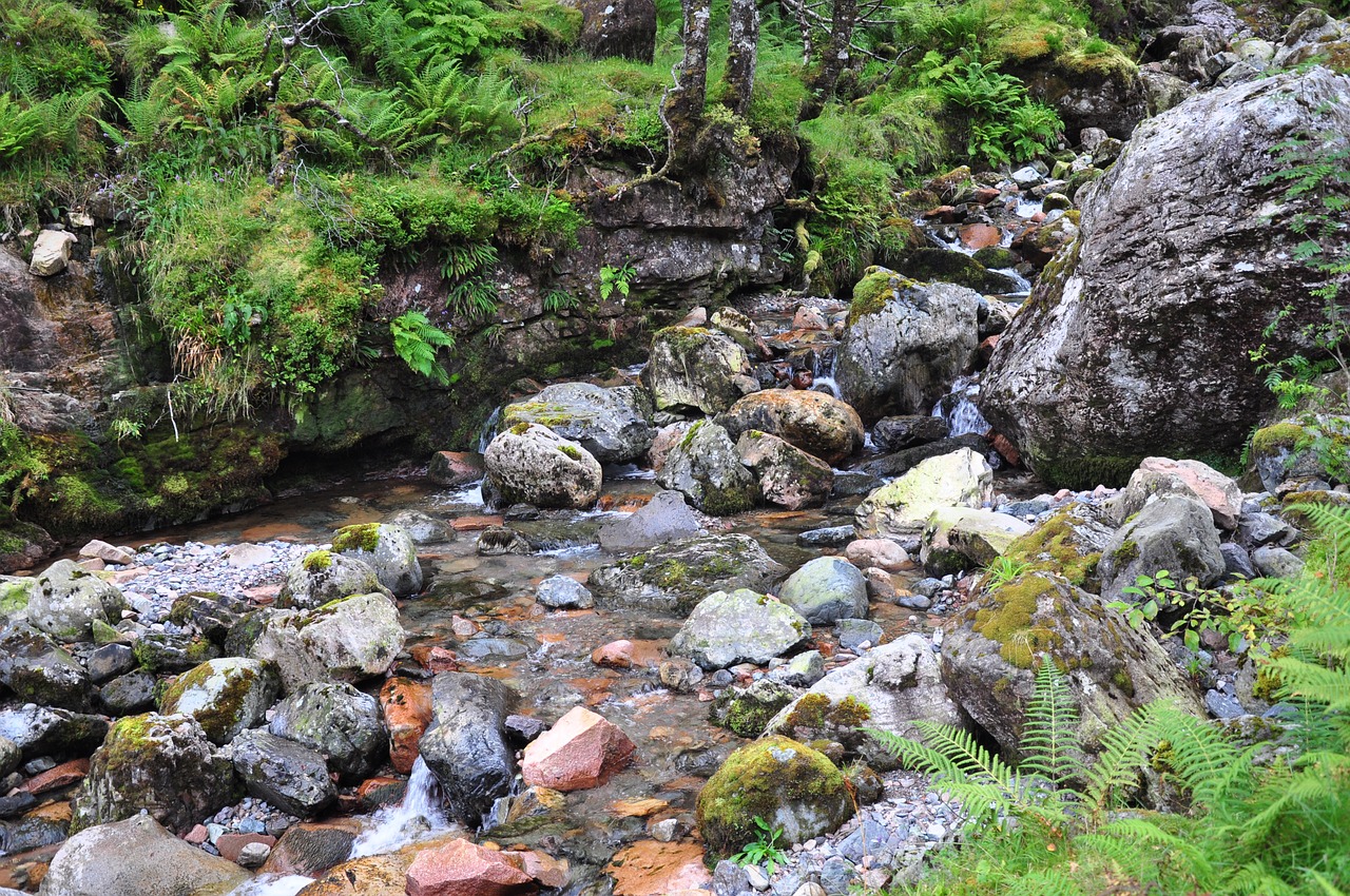 scotland hidden valley ballachulish plants free photo